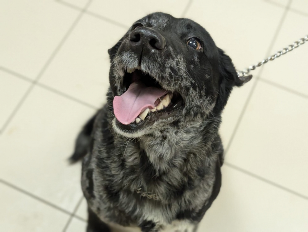 Photo #3 de Princesse