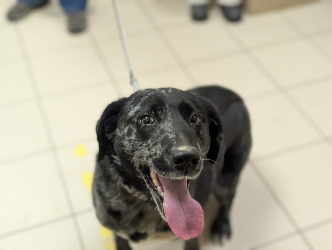 Photo #4 de Princesse