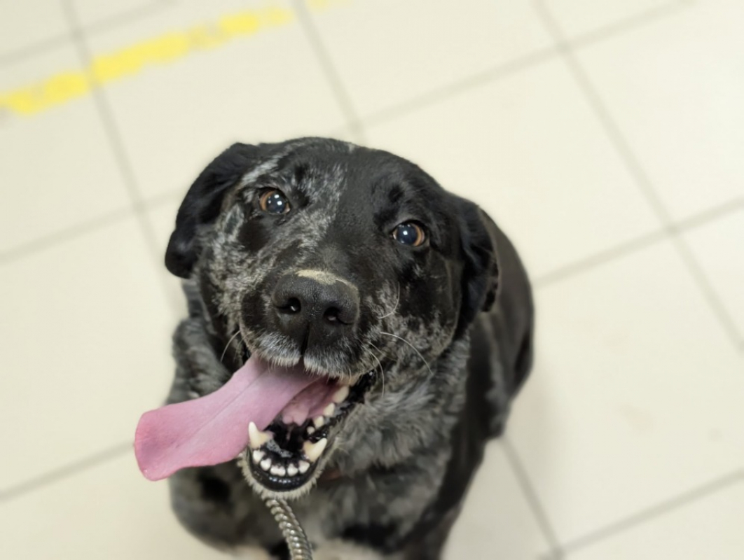 Photo #6 de Princesse