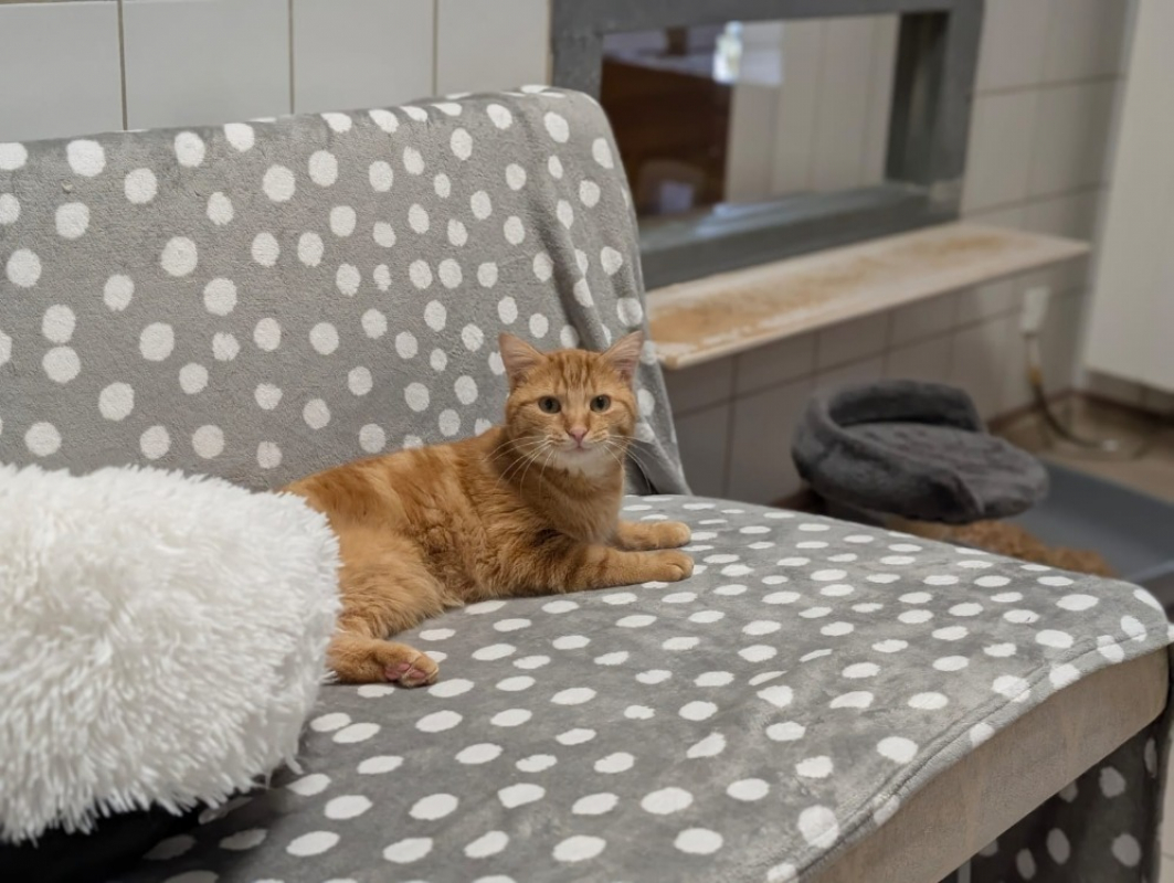 Photo #10 de Gaspard