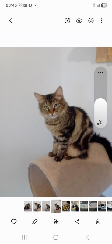 Photo #2 de Bréekies