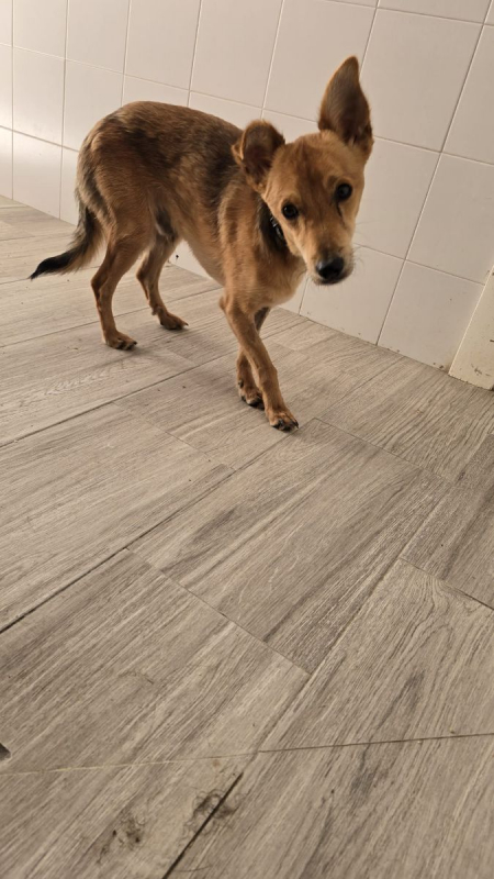 Photo #3 de TEDDY