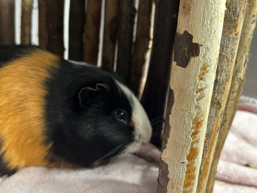 Photo #1 de A_nommer