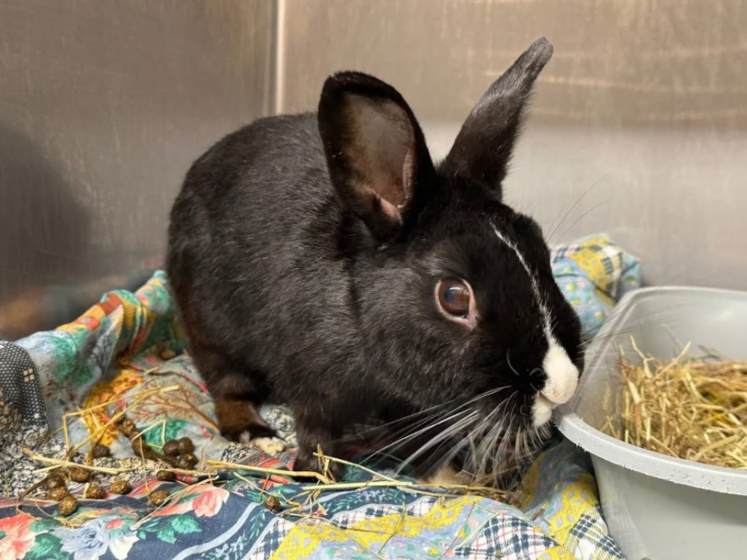 Photo #1 de A_nommer