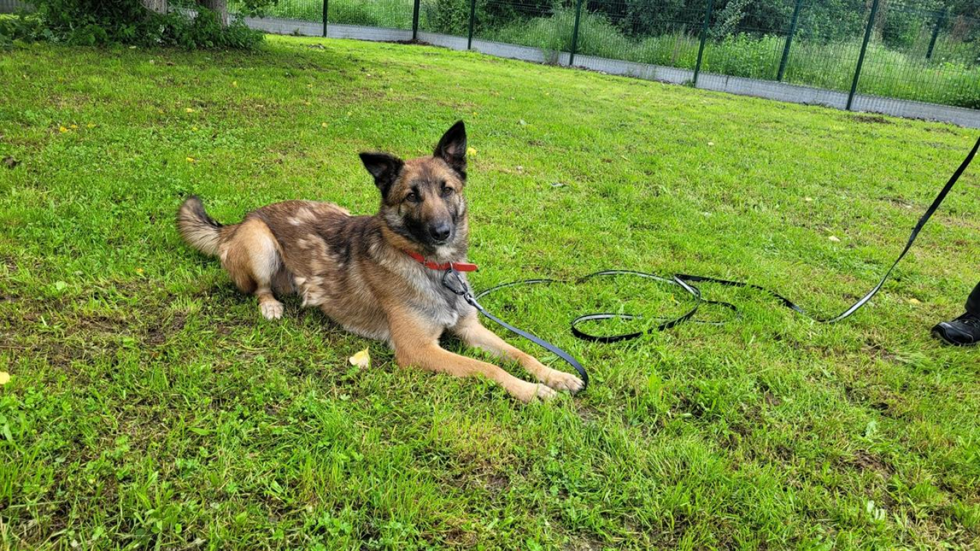 Photo #2 de Jean claude