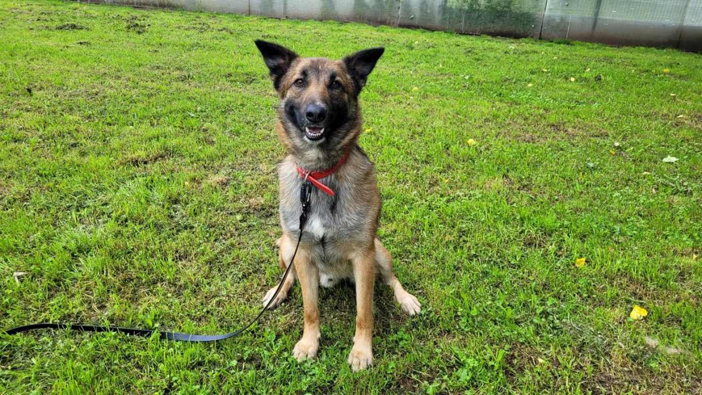 Photo #3 de Jean claude