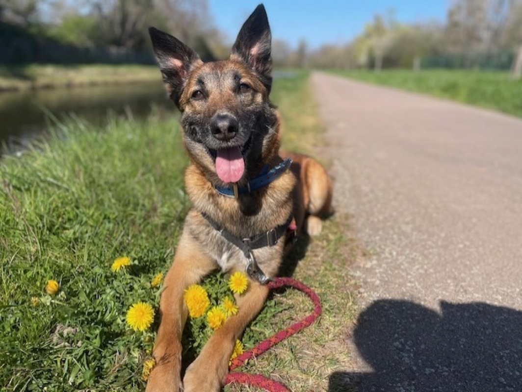 Photo #1 de Jean claude