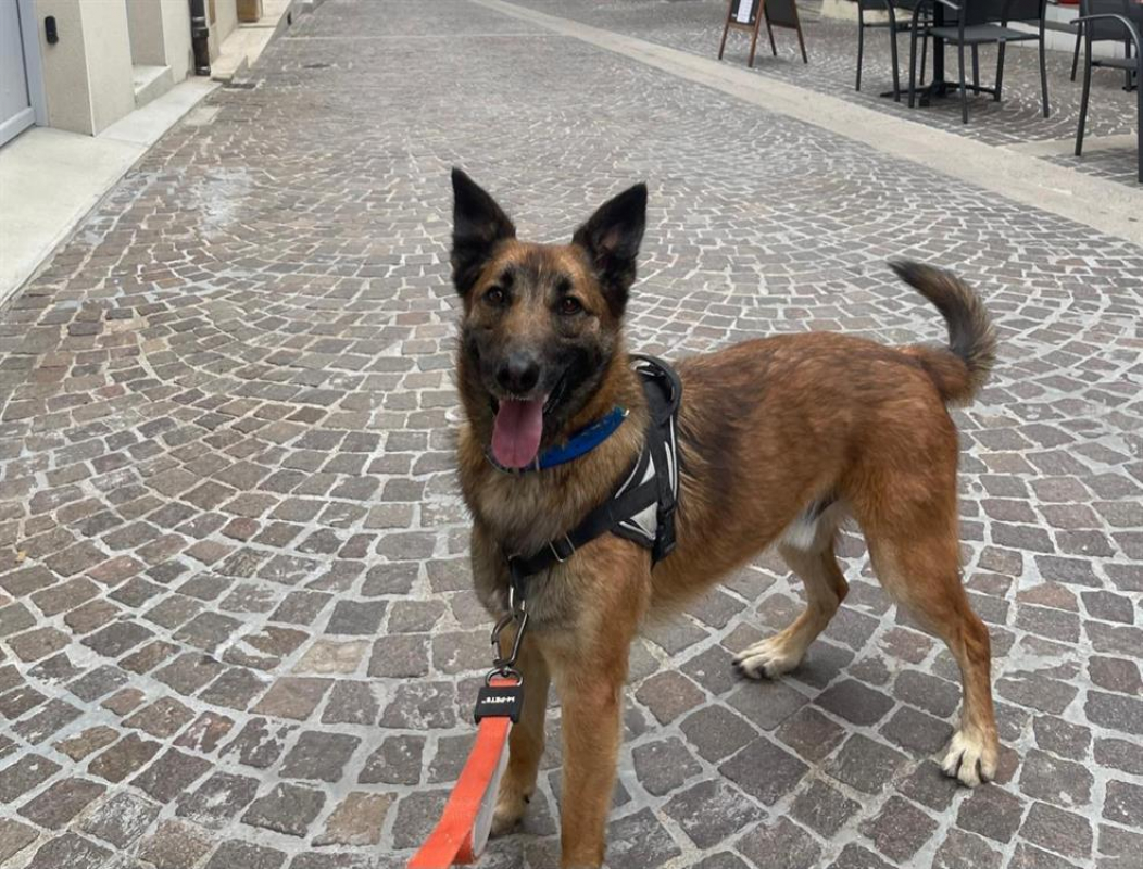 Photo #2 de Jean claude