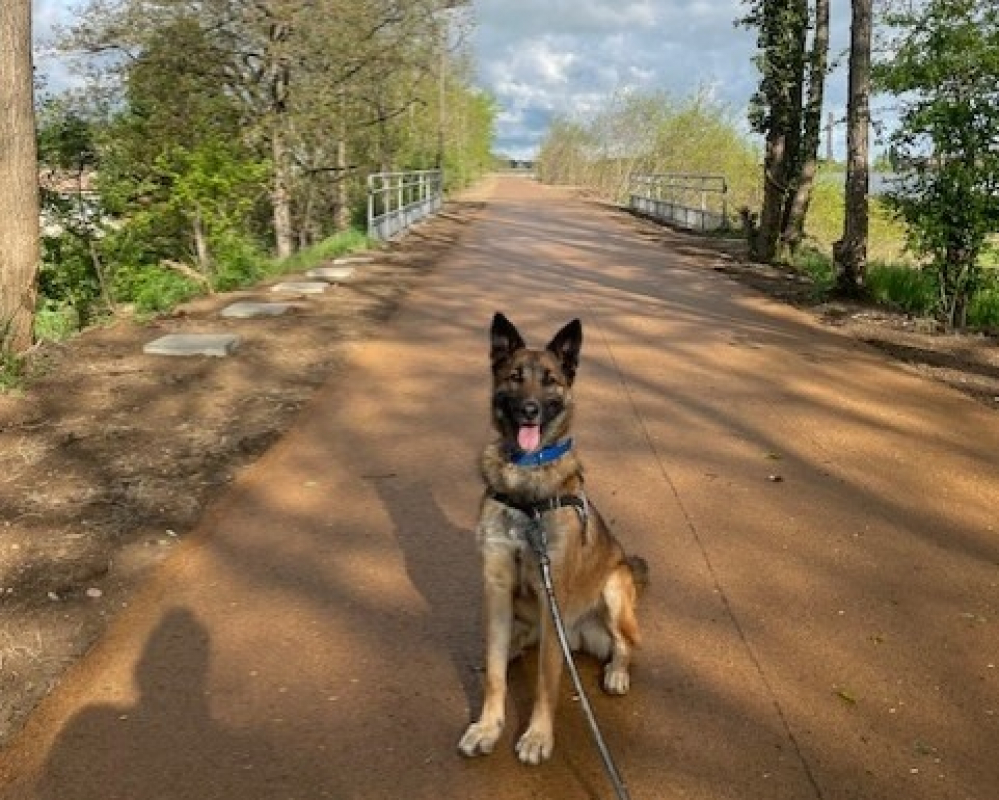 Photo #3 de Jean claude