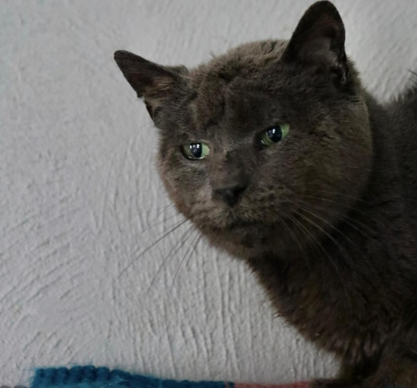 Photo #2 de Bertrand