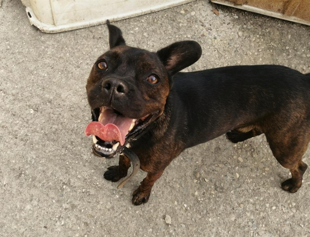 Photo #2 de Will i am