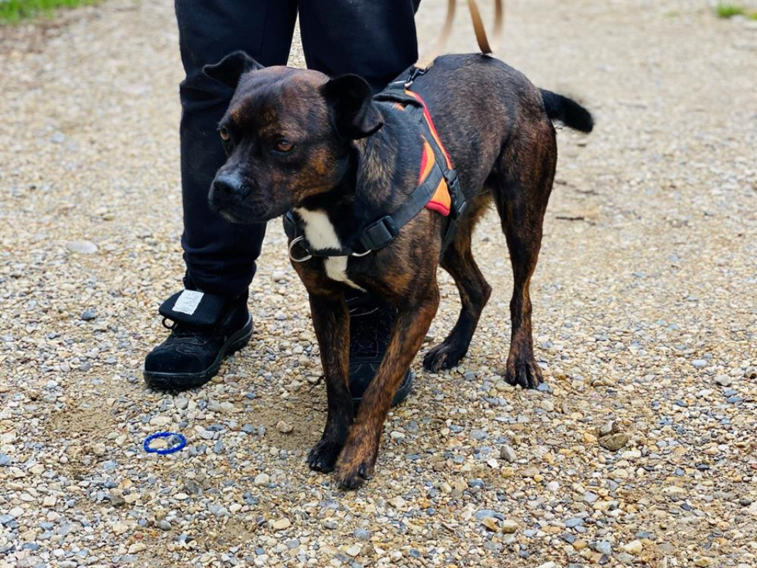 Photo #3 de Will i am