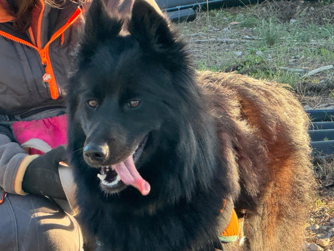 Photo de Miss pickles