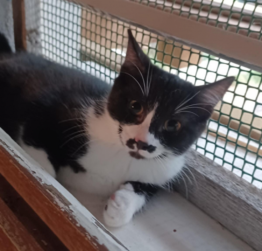 Photo #1 de FRIPOUILLE