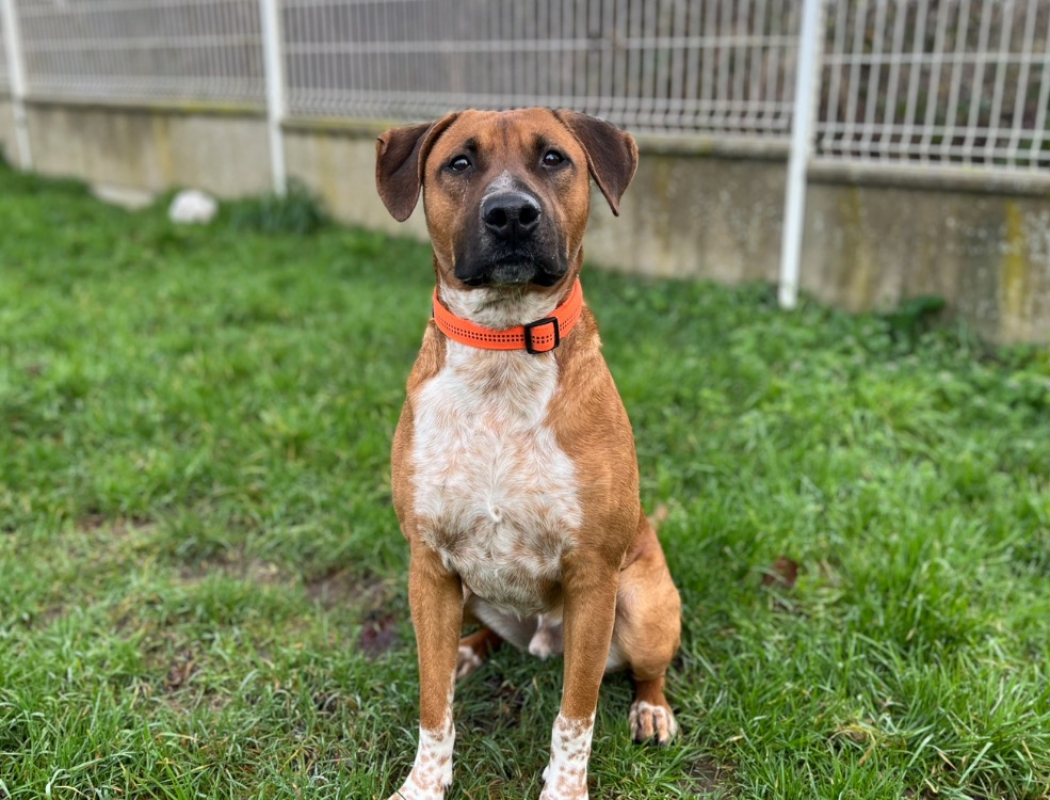 Photo #5 de Joffrey dit jack - reserve