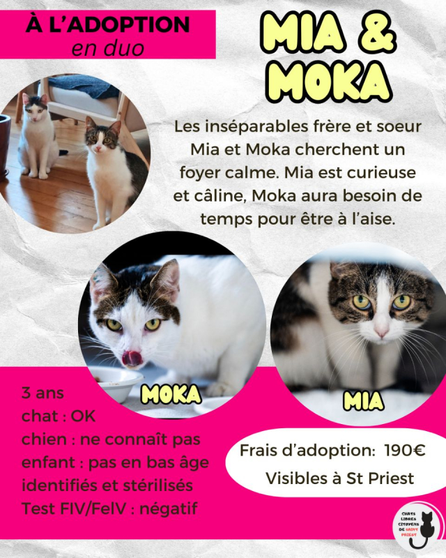 Photo #2 de Mia et Moka