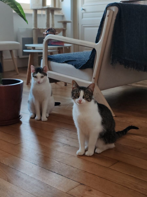 Photo #4 de Mia et Moka