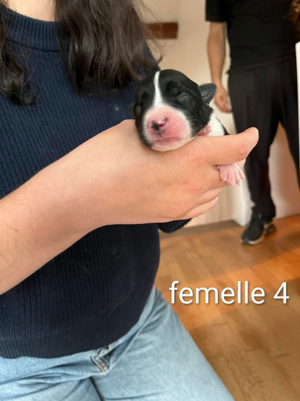 Photo #1 de Freya