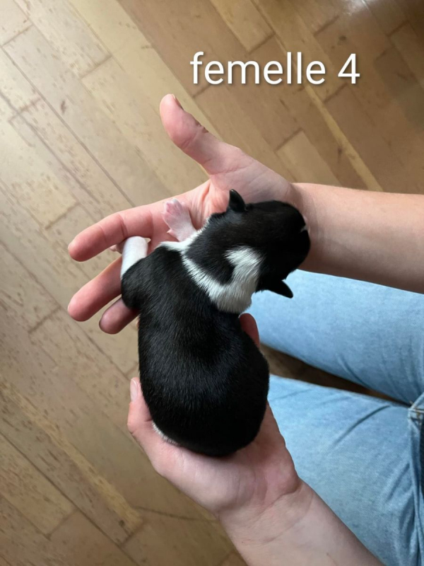 Photo #3 de Freya