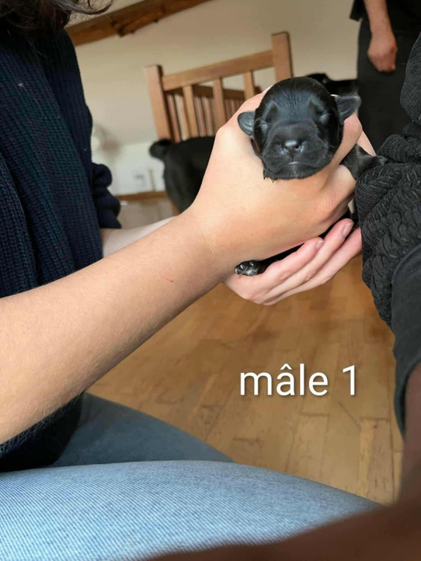 Photo #2 de Benni