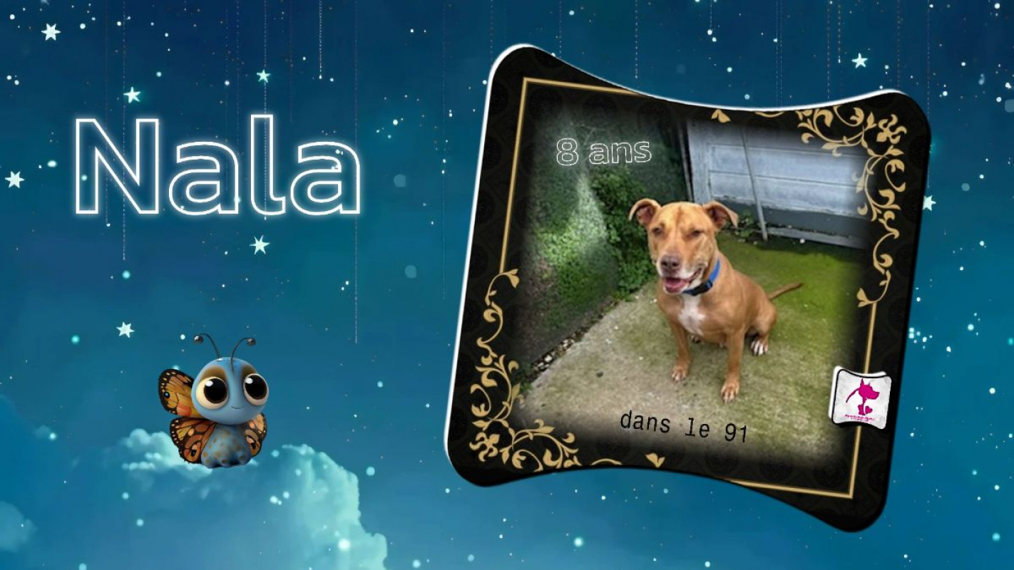 Photo de Nala