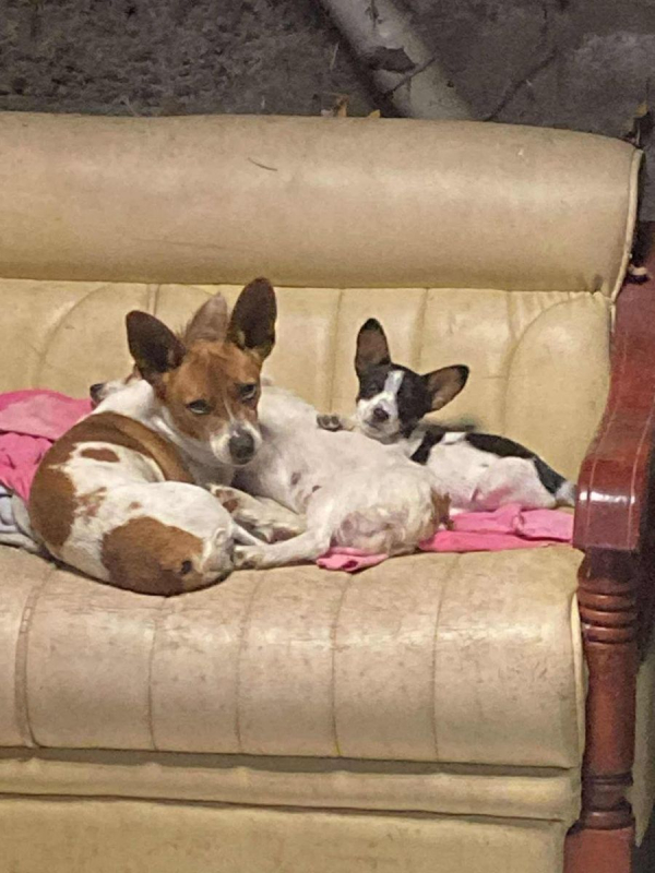 Photo #4 de Azaé et Muffin