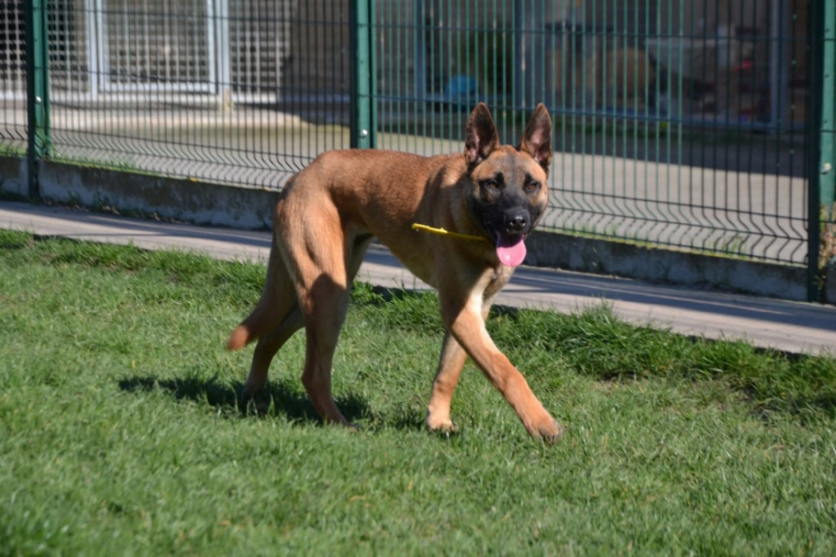 Photo #3 de Laly