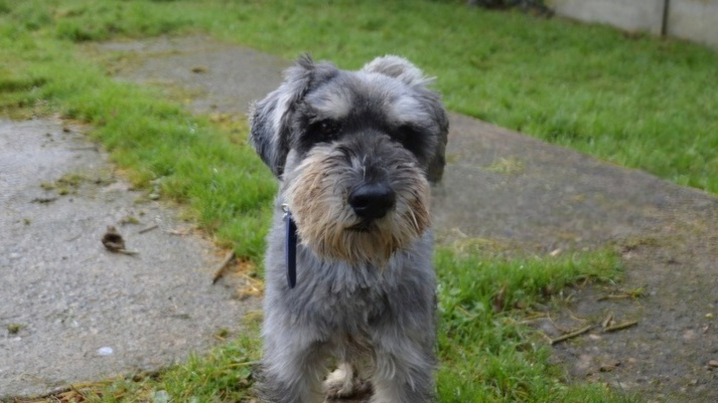 Photo #1 de Boom boom