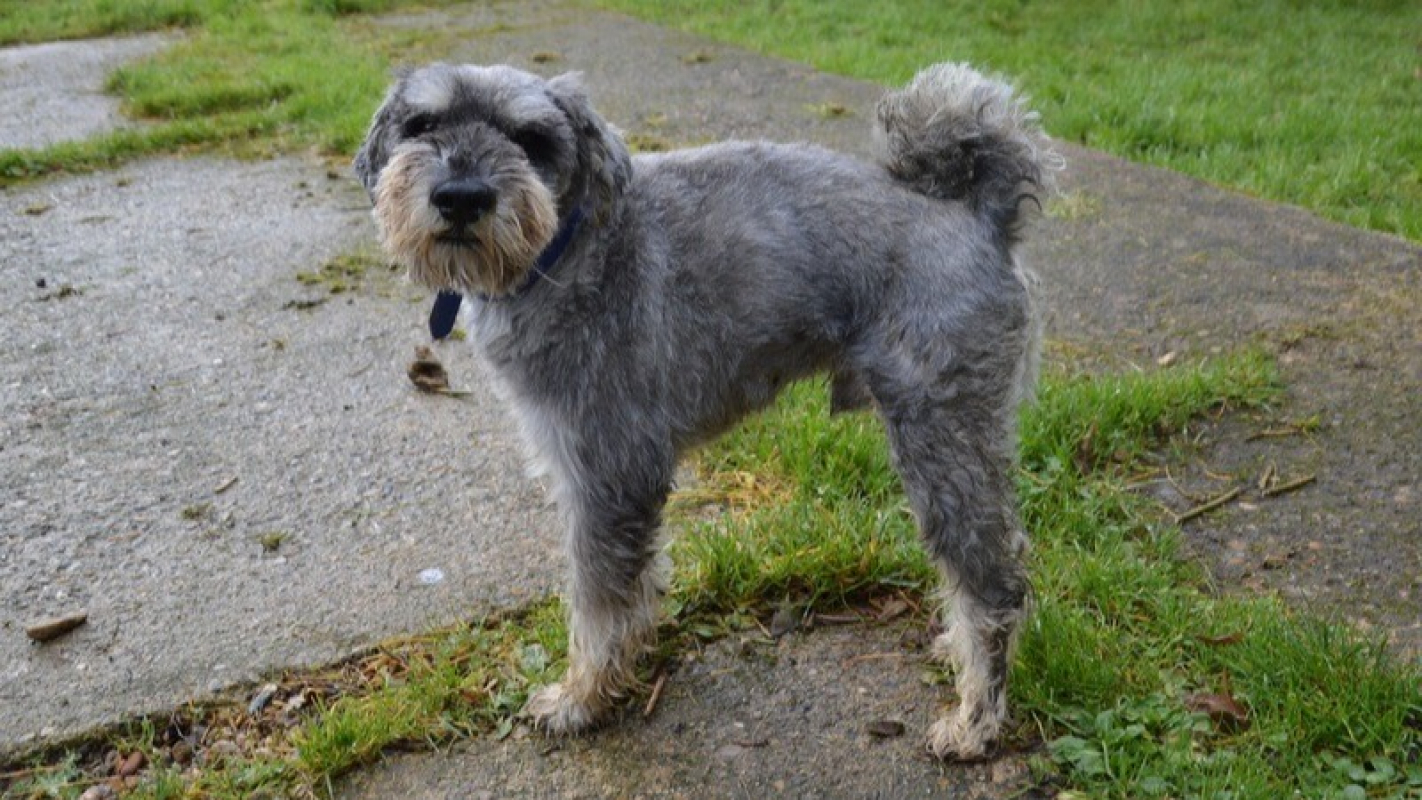 Photo #2 de Boom boom