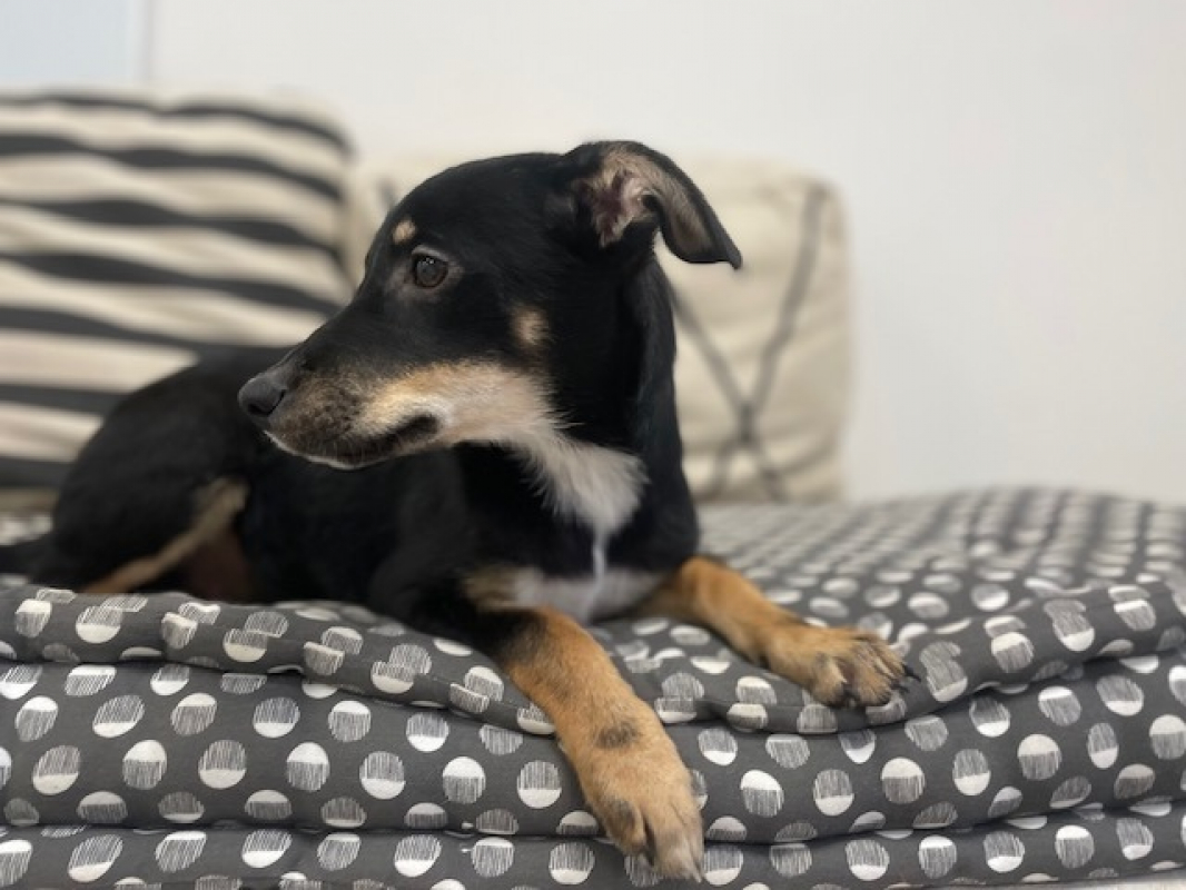 Photo #1 de Aphrodite