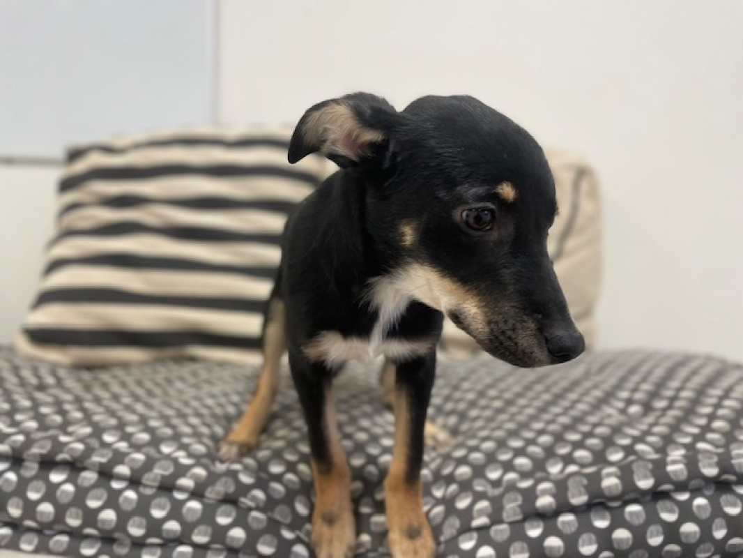 Photo #2 de Aphrodite