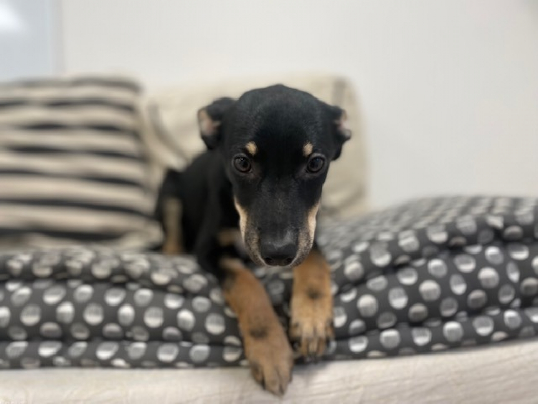 Photo #3 de Aphrodite