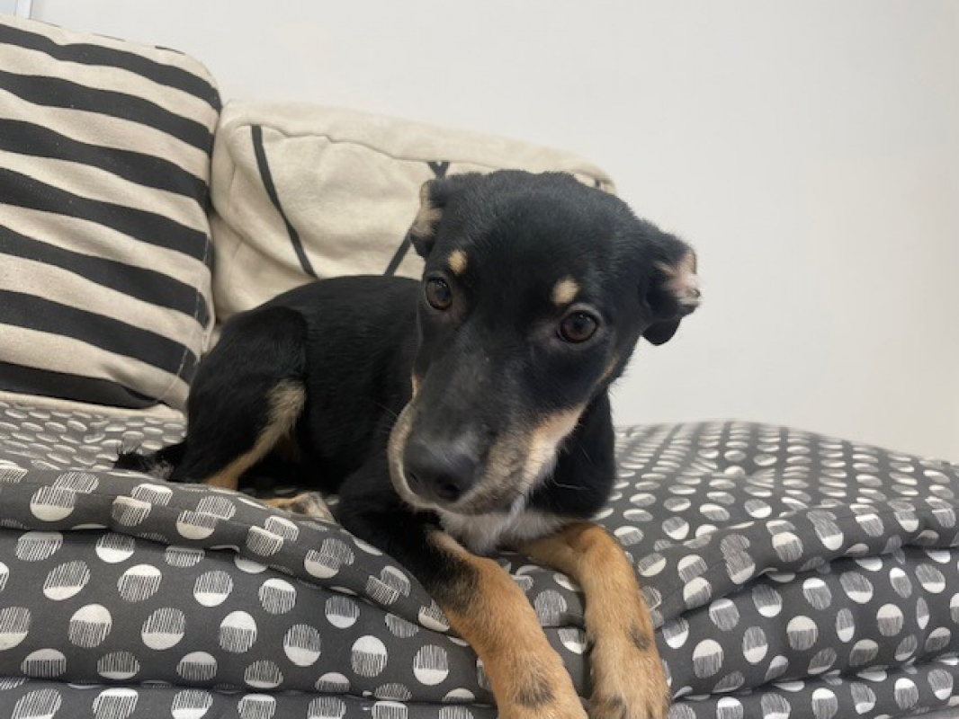 Photo #4 de Aphrodite