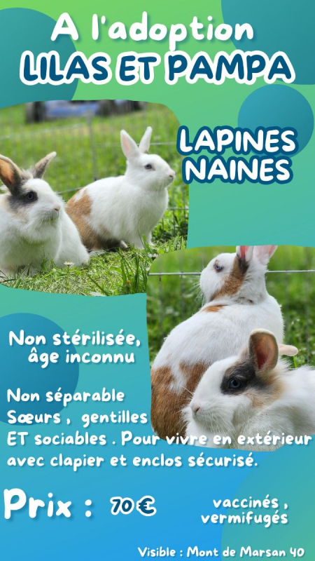 Photo #3 de Lila et Pampa 