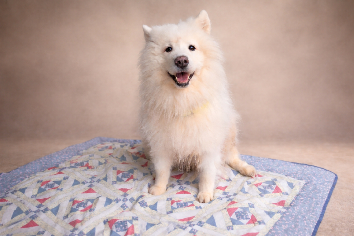 Photo de Iska réservé