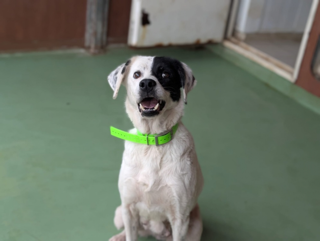 Photo #2 de Princesse