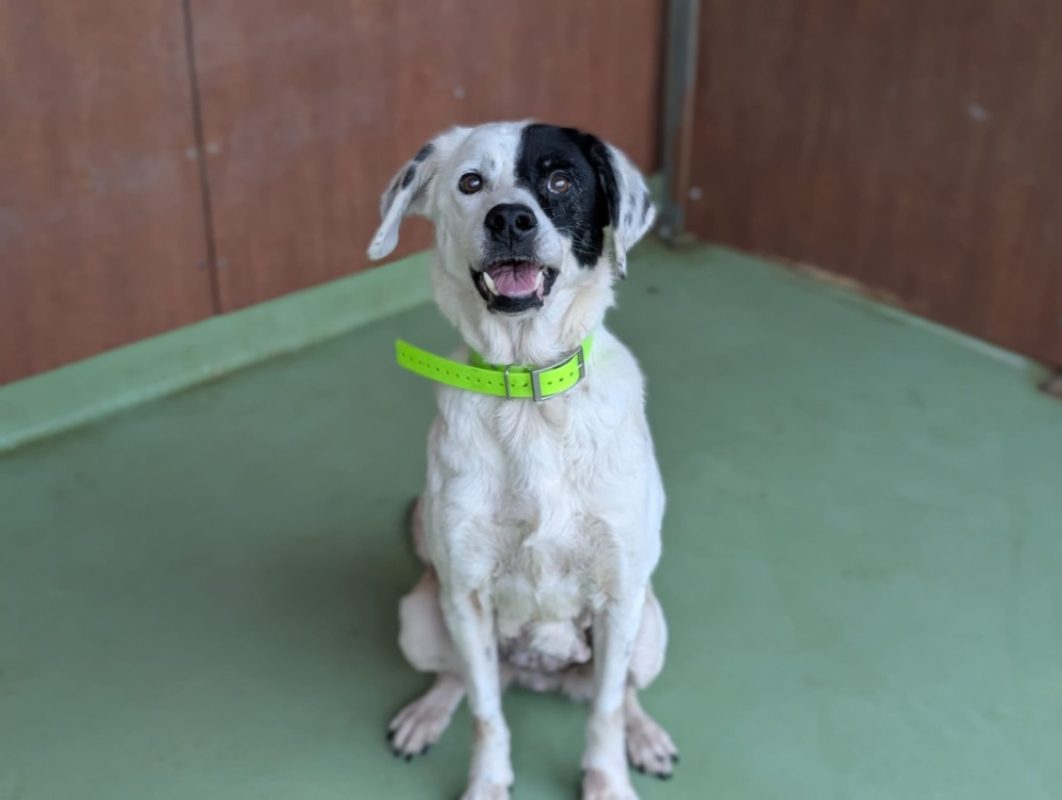 Photo #3 de Princesse