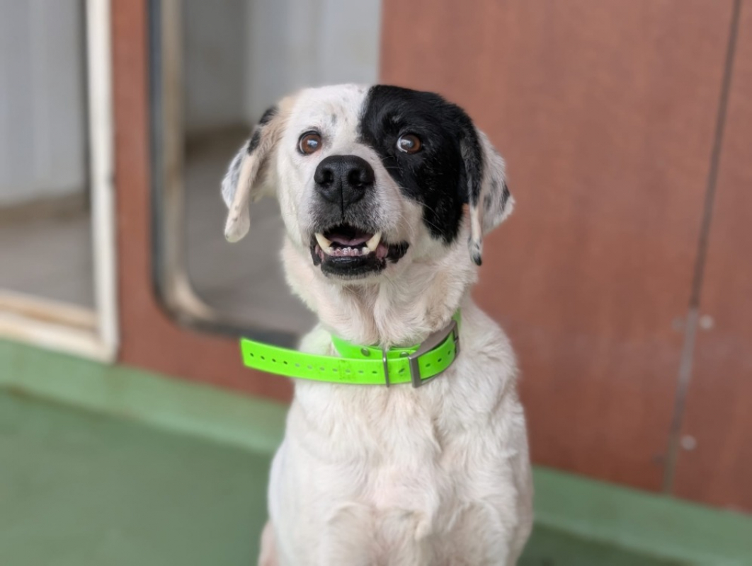 Photo #5 de Princesse