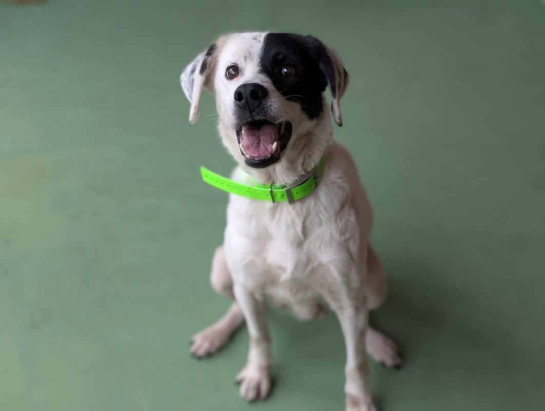 Photo #7 de Princesse