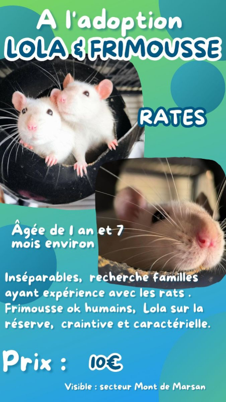 Photo #2 de Frimousse et Lola