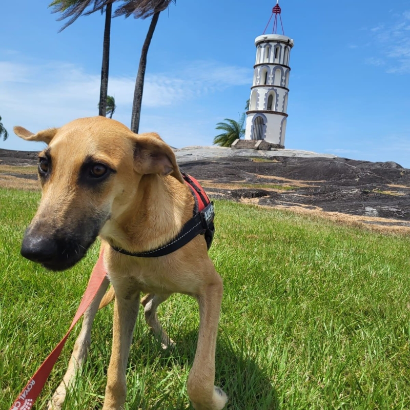 Photo de Darwin