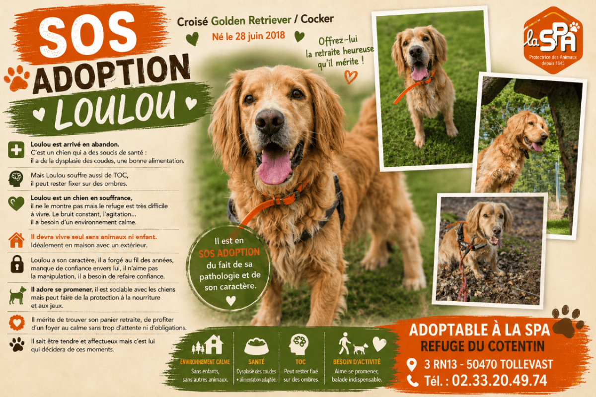 Photo de Loulou