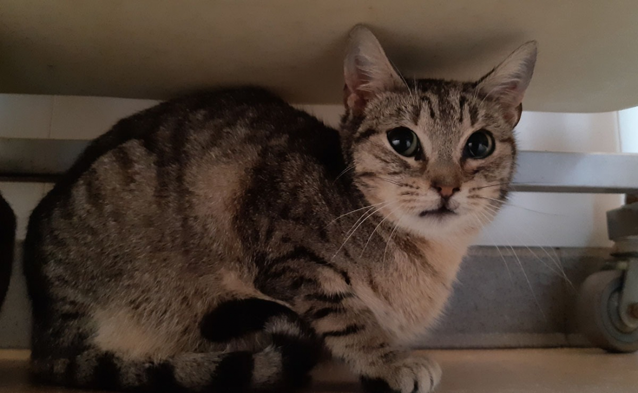 Photo #1 de Credensce