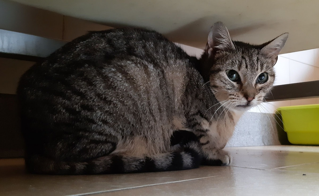 Photo #2 de Credensce