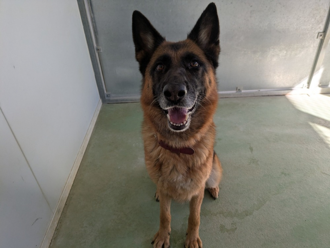 Photo #3 de Pagaille