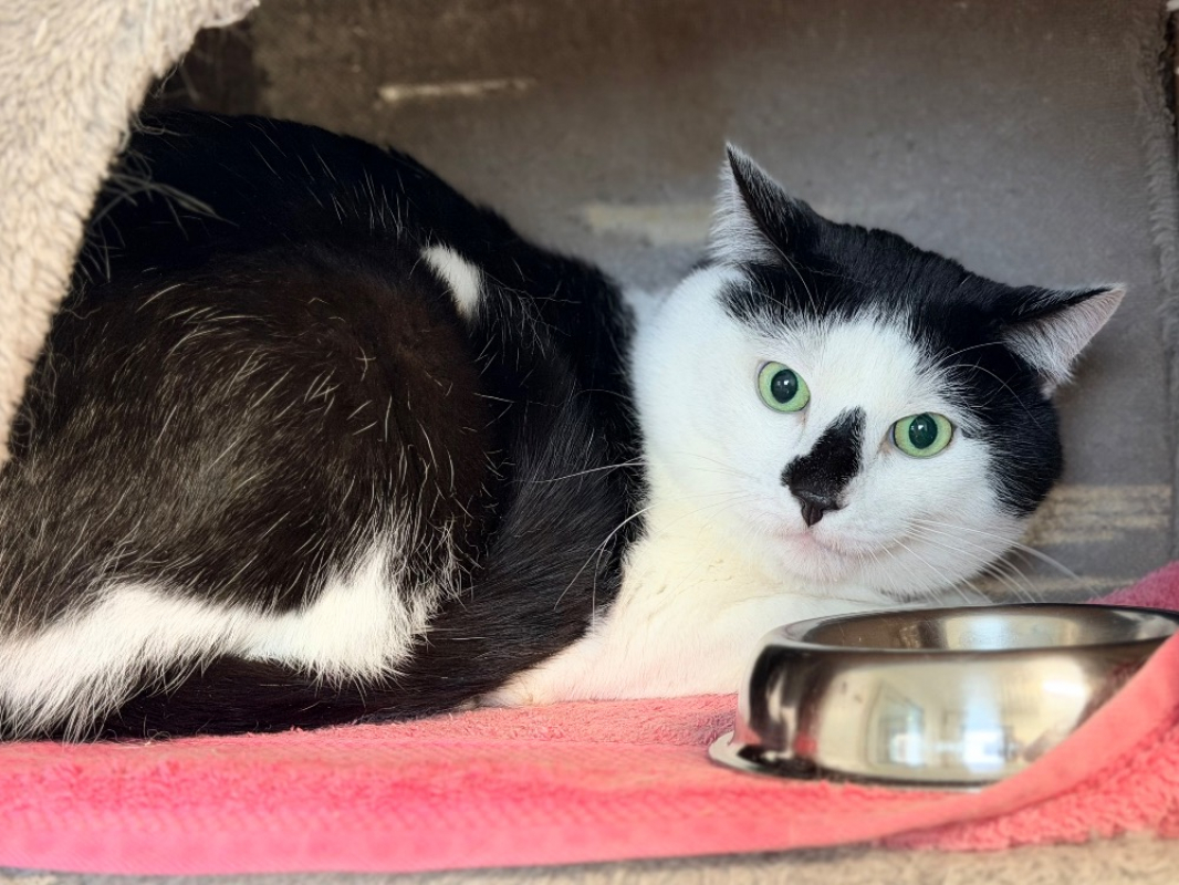 Photo #3 de Bernardo