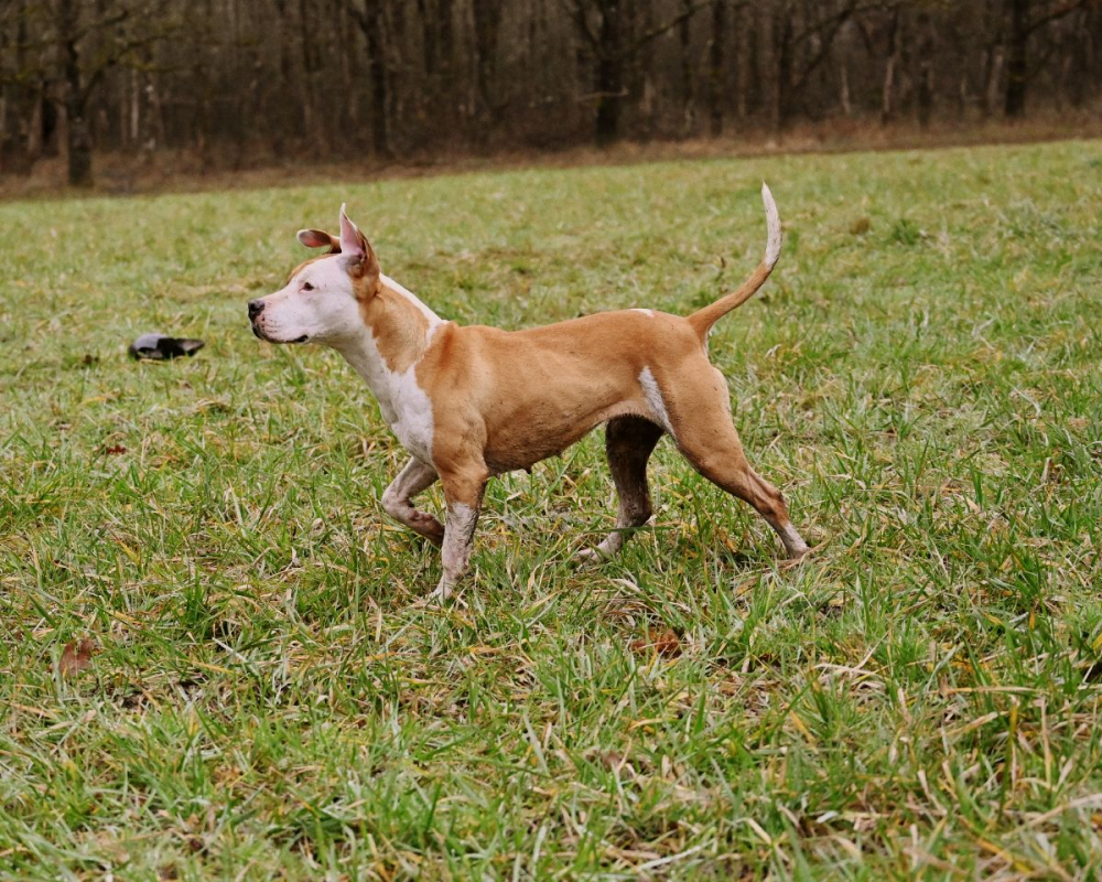Photo #2 de GAÏA (en parcours de soins)