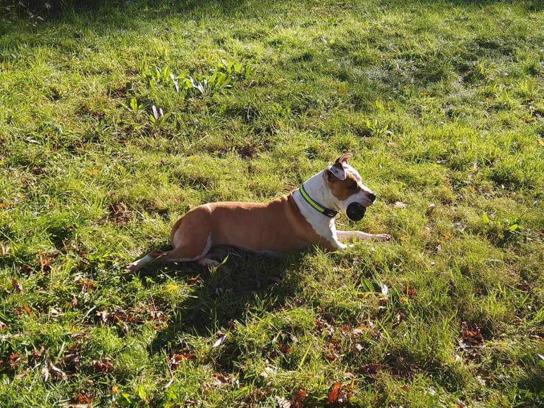 Photo #3 de GAÏA (en parcours de soins)