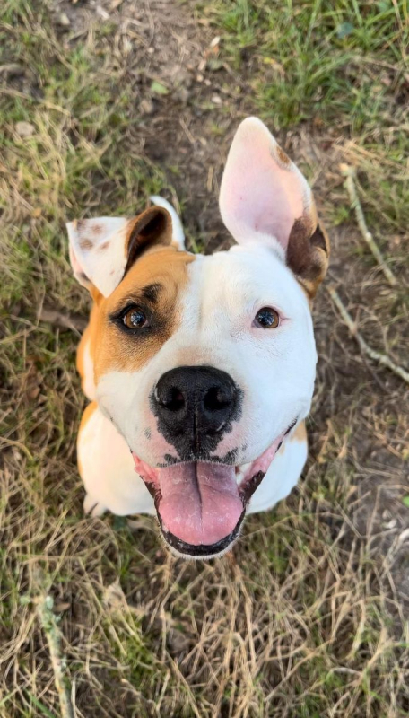 Photo #5 de GAÏA (en parcours de soins)