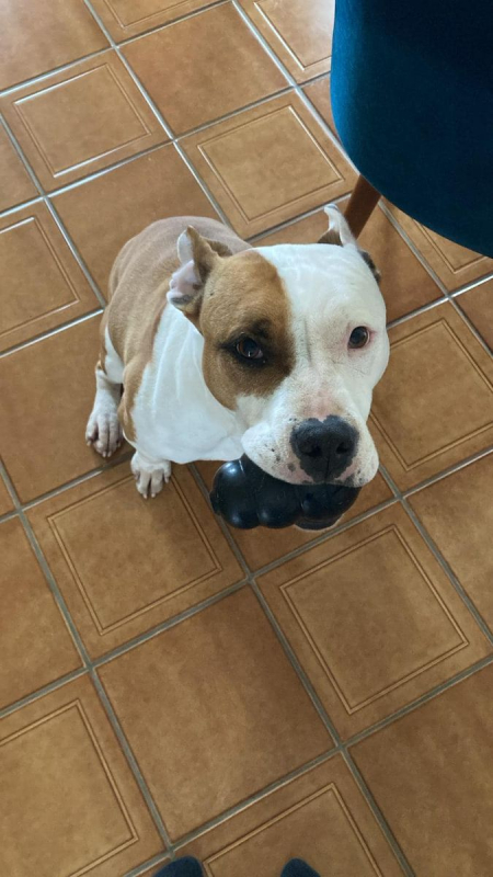 Photo #6 de GAÏA (en parcours de soins)